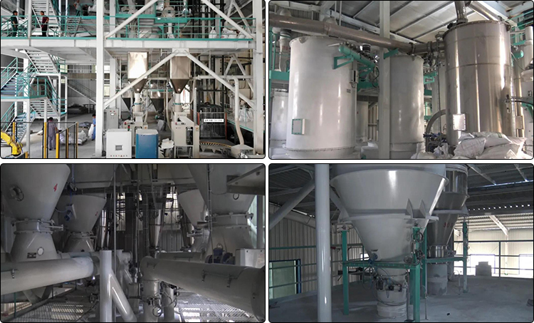 O projeto de engenharia de pó da linha de produção de acidificantes da Liangyou Co., Ltd. passou com sucesso na aceitação