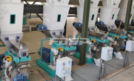 As ações da Liangyou ensinam como fazer com que a máquina de pellets de madeira tenha uma vida útil 