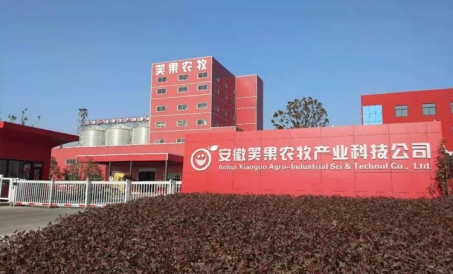 O projeto da linha dupla de produção de ração para gado e aves SZLH420 de Anhui foi concluído e colo