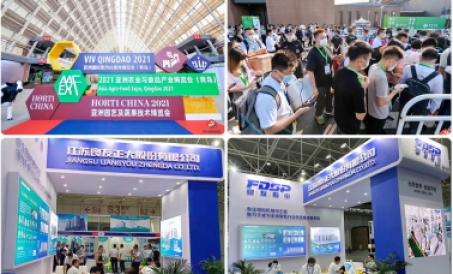 Novos produtos, novas tecnologias, novos projetos - as ações da Liangyou apareceram na VIV Qingdao 2