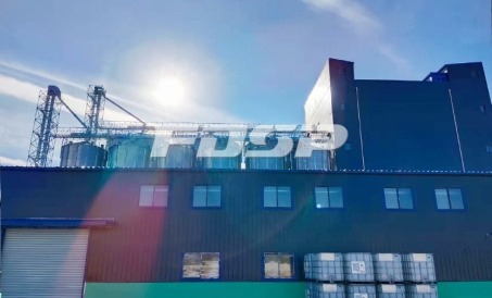 O comissionamento da linha de produção de gado e aves + ração para ruminantes com uma produção anual