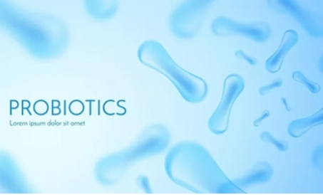 Vantagens da ração de fermentação biológica