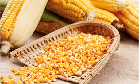 Como reduzir a perda de material do moinho de ração